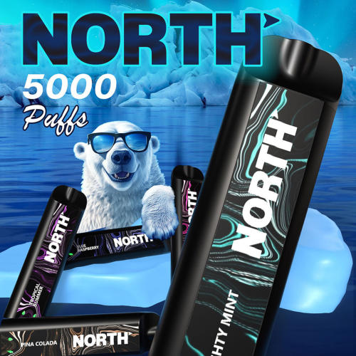 North 5000 Puffs 5% (10PK Display)